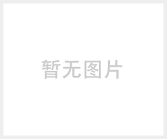 GE-340 塑料PVC管道挡板叶片式流量开关